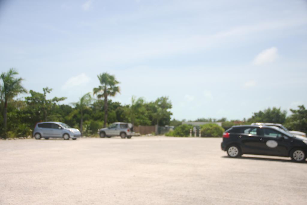 Carib Club Lägenhet Grace Bay Exteriör bild